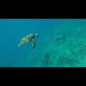 Meet your Posher, Samela